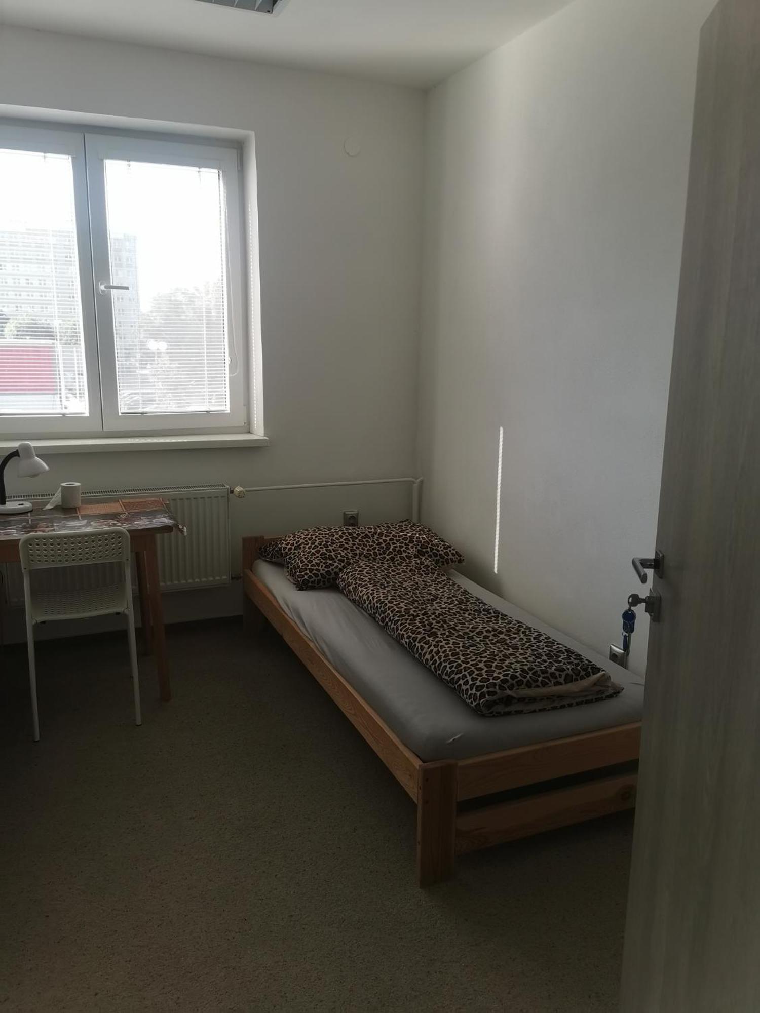 Living Bratislava By The Bus Station Hostel Екстериор снимка